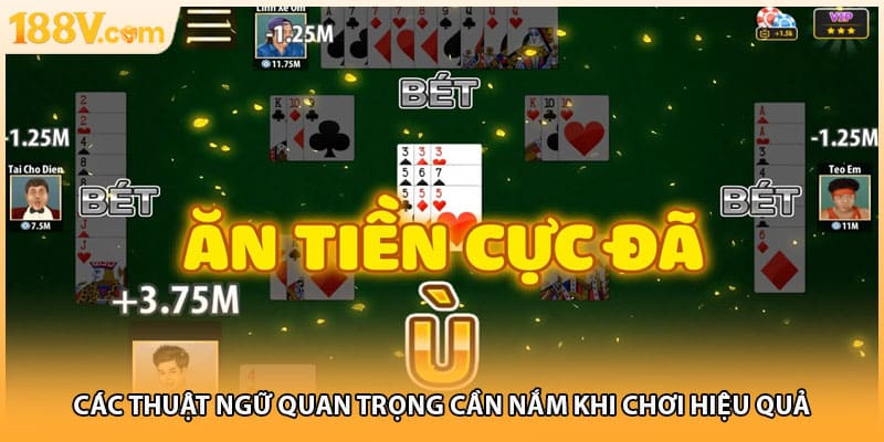 Các thuật ngữ quan trọng cần nắm khi chơi hiệu quả